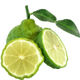 Bergamot