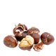 Chestnut