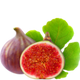 Fig Leaves