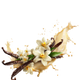 Creamy Vanilla